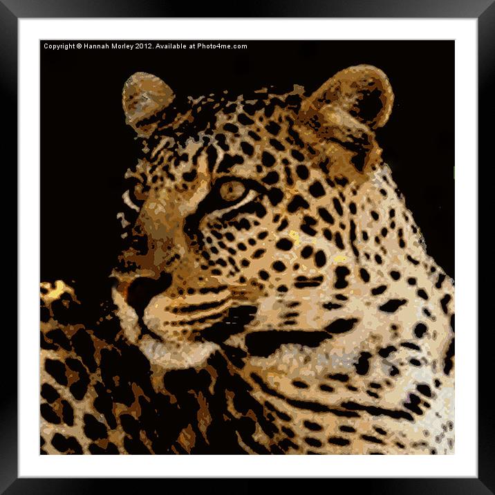 Leopard Framed Mounted Print by Hannah Morley