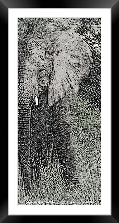 Elephant Framed Mounted Print by Hannah Morley