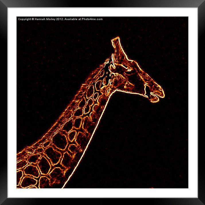 Neon Giraffe Framed Mounted Print by Hannah Morley