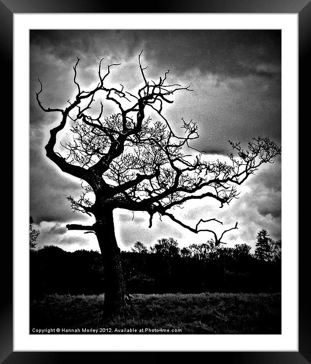 Lightening Tree Framed Mounted Print by Hannah Morley