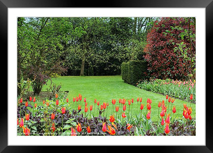 English Country Garden Framed Mounted Print by Hannah Morley