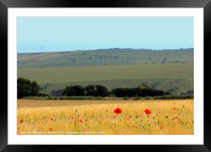 Poppies by the Sea Framed Mounted Print by Hannah Morley