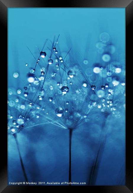 Soft Blue Water Droplets Framed Print by Anthony Michael 