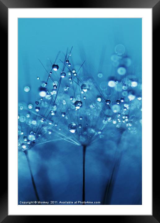 Soft Blue Water Droplets Framed Mounted Print by Anthony Michael 