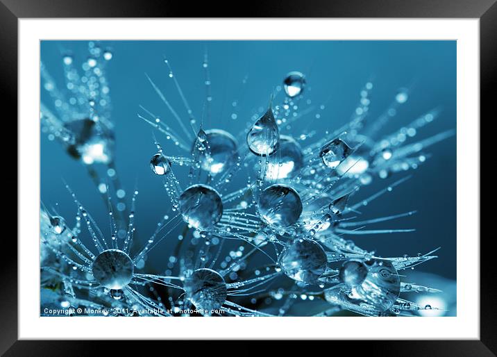 Water Droplets Macro Framed Mounted Print by Anthony Michael 
