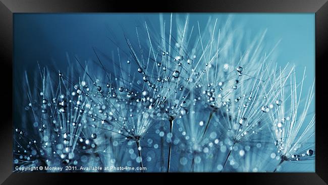 Water Droplets Blue Framed Print by Anthony Michael 