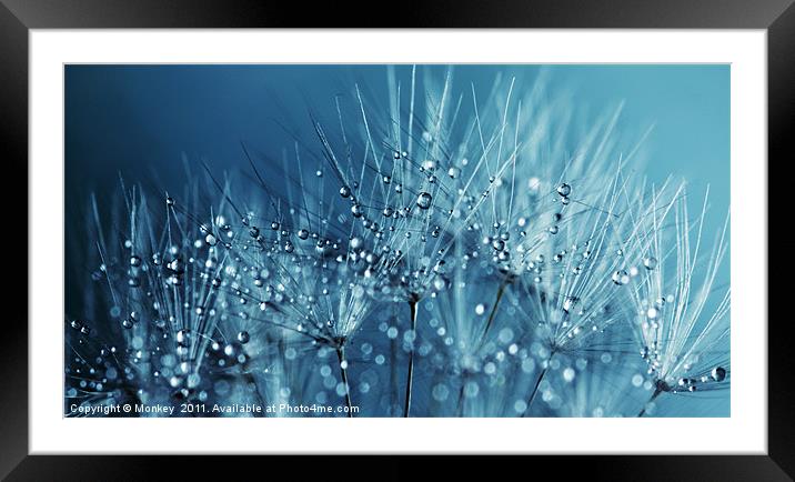 Water Droplets Blue Framed Mounted Print by Anthony Michael 