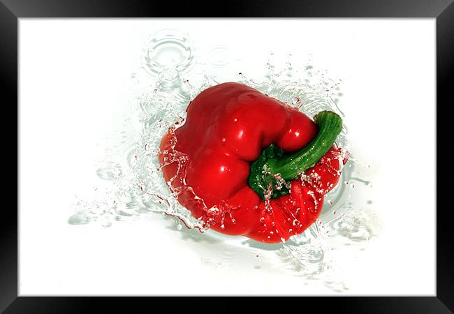 Fresh Red Pepper Framed Print by Anthony Michael 