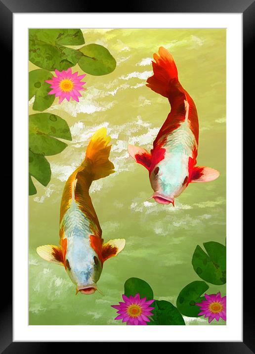 Koi Carp Oriental Fish  Framed Mounted Print by Anthony Michael 