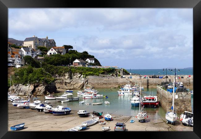 Newquay Harbour  Framed Print by Anthony Michael 
