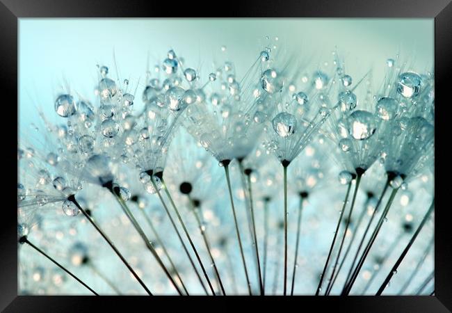 Blue Water Droplets Framed Print by Anthony Michael 