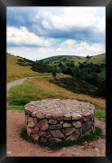The Direction Stone Framed Print by Anthony Michael 