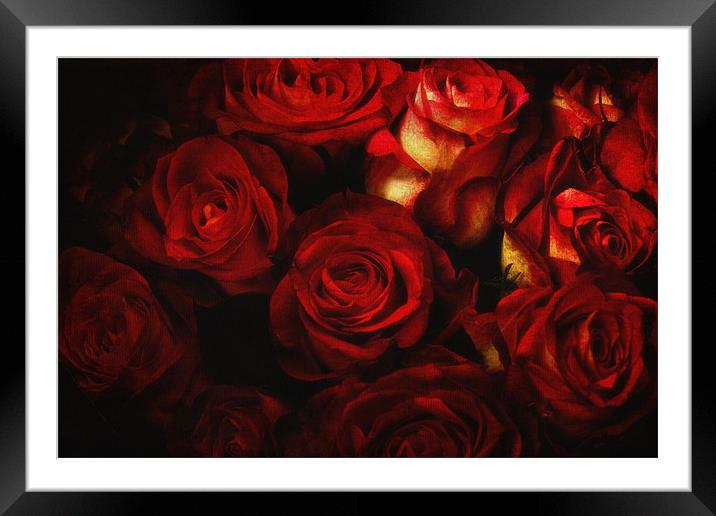 Bed Of Roses Framed Mounted Print by Chris Manfield