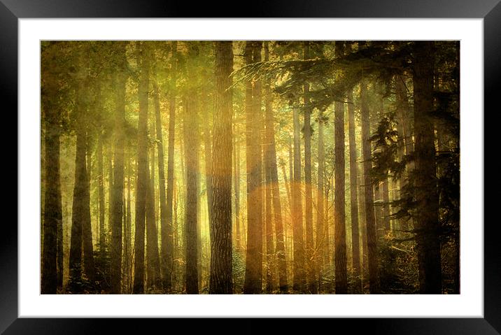 Deep In Black Wood Framed Mounted Print by Chris Manfield