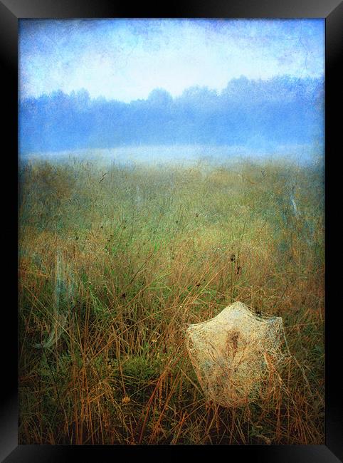 Morning dew Framed Print by Chris Manfield