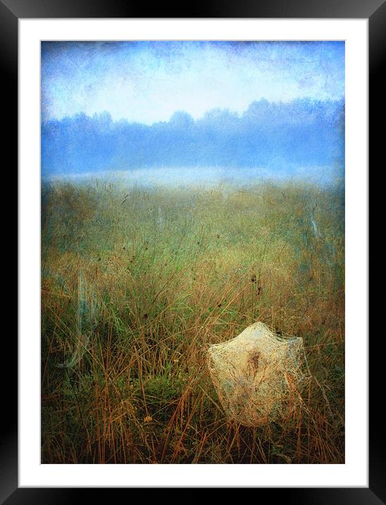 Morning dew Framed Mounted Print by Chris Manfield