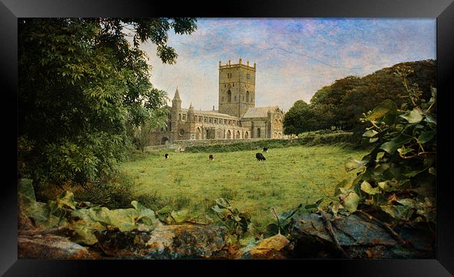 St Davids Cathedral Framed Print by Chris Manfield
