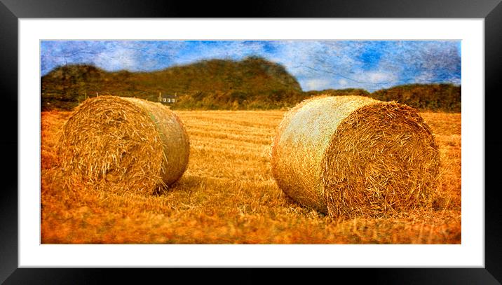 Bails of Hey Framed Mounted Print by Chris Manfield