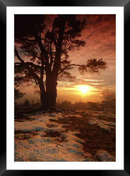Sunset on Leith Hill Framed Mounted Print by Chris Manfield