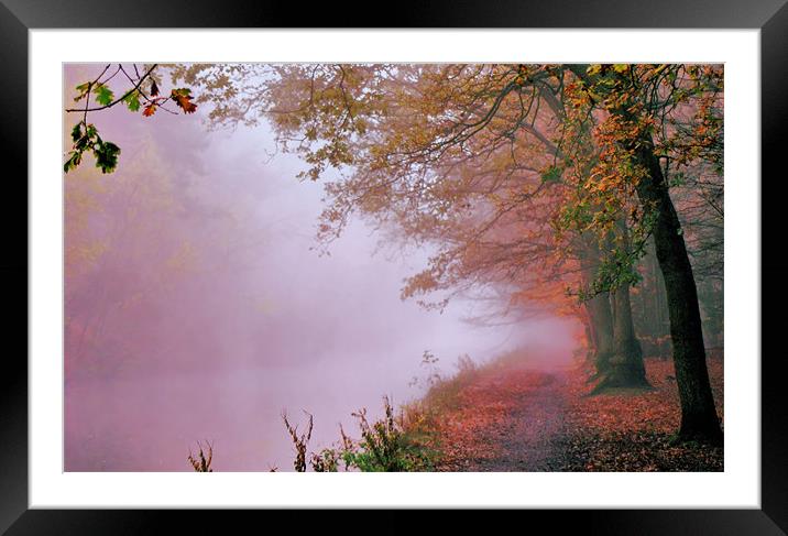 Shades of autumn Framed Mounted Print by Chris Manfield