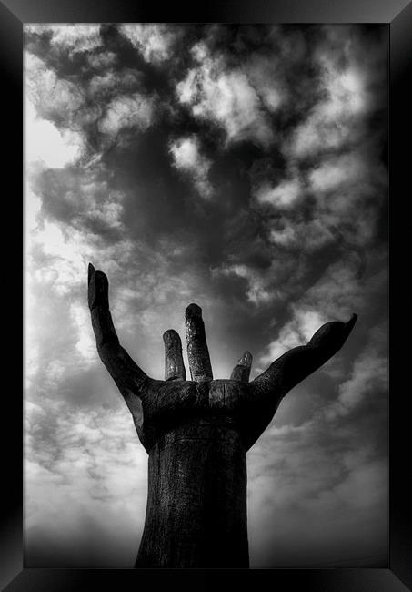 Reach for the Sky Framed Print by Chris Manfield