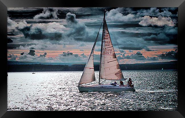 Red Sails In The Sunset Framed Print by Pauline Simmonds