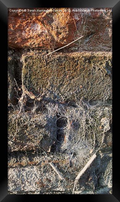 Ancient brickwall Framed Print by Sarah Harrington-James