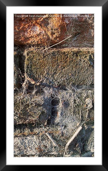 Ancient brickwall Framed Mounted Print by Sarah Harrington-James
