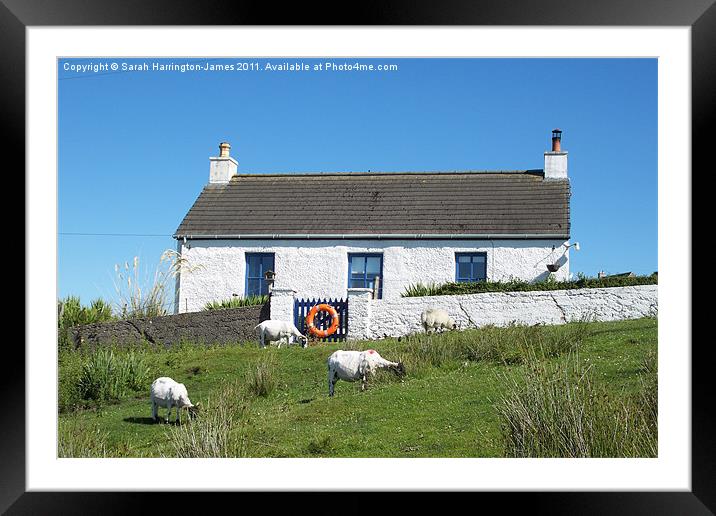 Croft on Isle of Mull Framed Mounted Print by Sarah Harrington-James