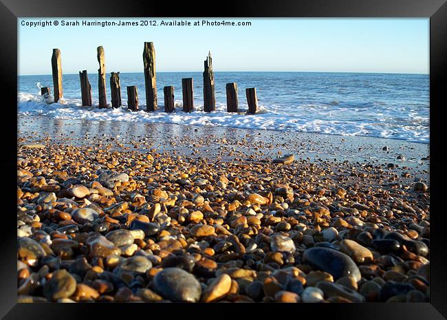 Winchelsea beach, East Sussex Framed Print by Sarah Harrington-James