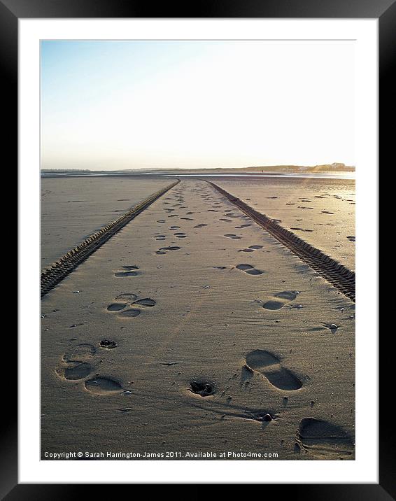 Tracks in the sand Framed Mounted Print by Sarah Harrington-James