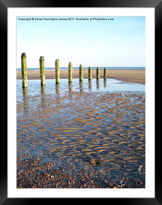 Camber Sands, East Sussex Framed Mounted Print by Sarah Harrington-James