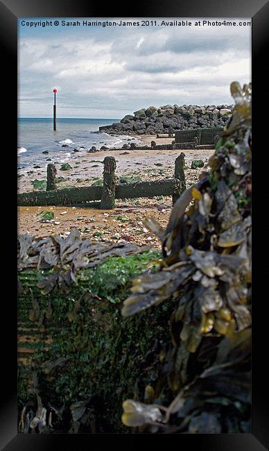 Reculver beach, Kent Framed Print by Sarah Harrington-James