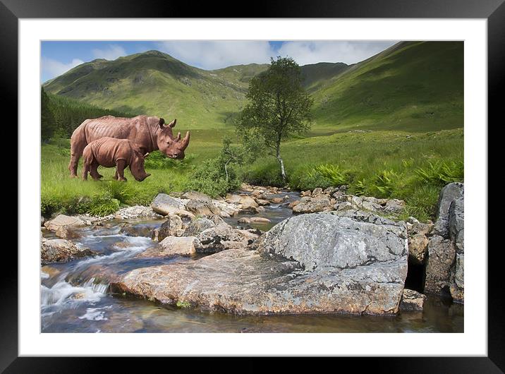 Rhinos in the Highlands Framed Mounted Print by Sam Smith