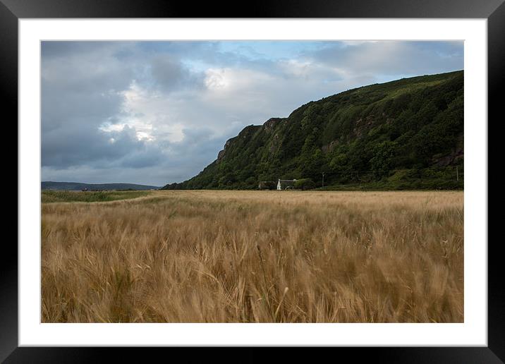 Swaying wheat field Framed Mounted Print by Sam Smith