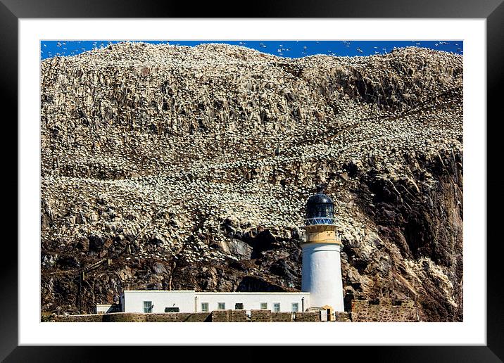 Bass Rock Lighthouse Framed Mounted Print by Sam Smith