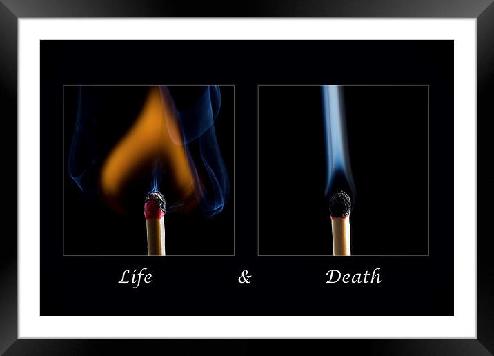 Life and Death Framed Mounted Print by Sam Smith