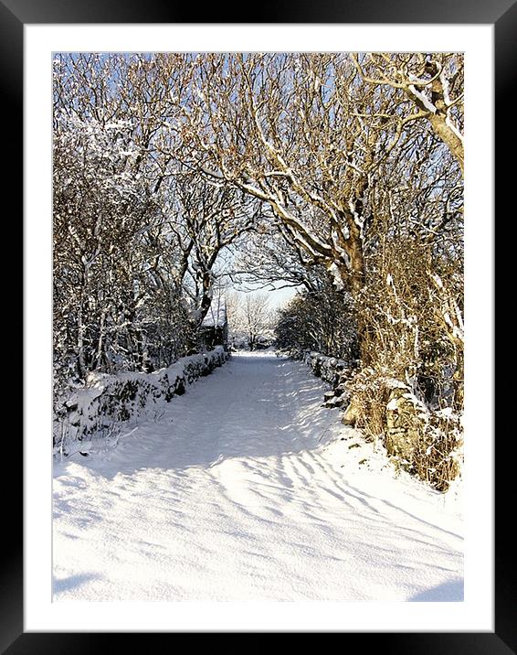 Cwyfan Snow Walk Framed Mounted Print by Ian Tomkinson