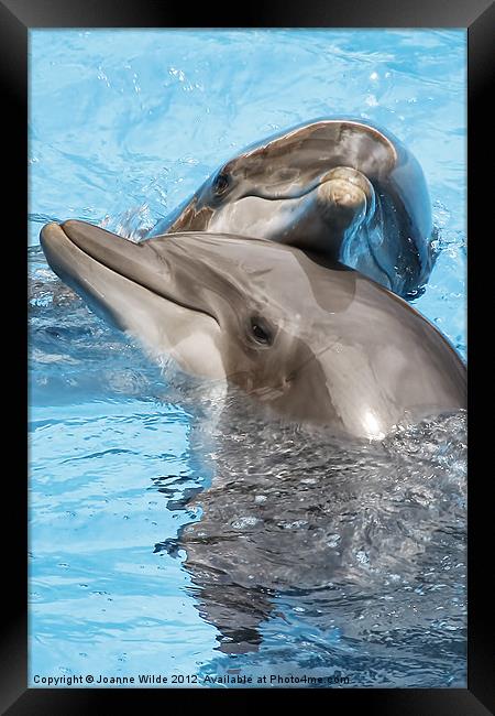 Dolphin Love Framed Print by Joanne Wilde