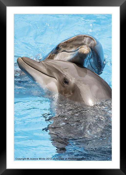 Dolphin Love Framed Mounted Print by Joanne Wilde
