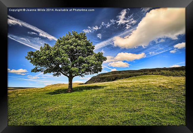 The Lonley Tree at Dovestones Framed Print by Joanne Wilde