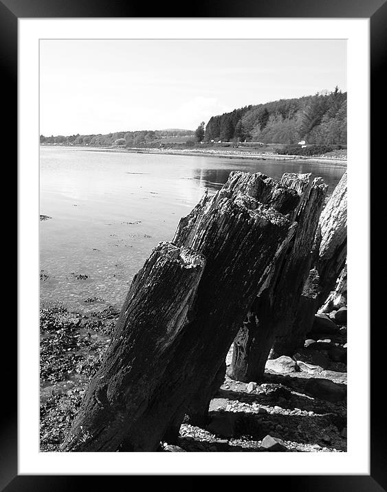 Stumped Framed Mounted Print by james sanderson