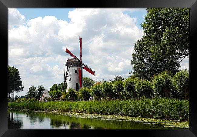 Damme Windmill, Belgium, 2011 Framed Print by colin ashworth