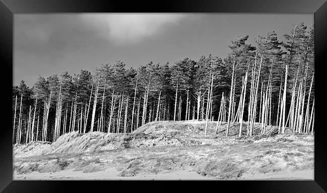 Newborough Beach 2 Framed Print by colin ashworth