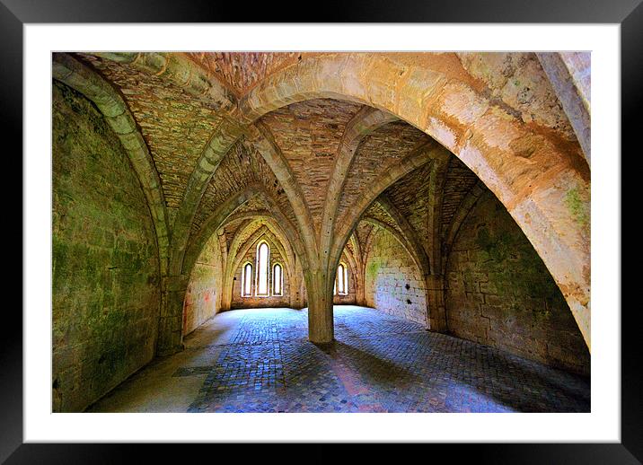 Fountains Abbey Framed Mounted Print by colin ashworth