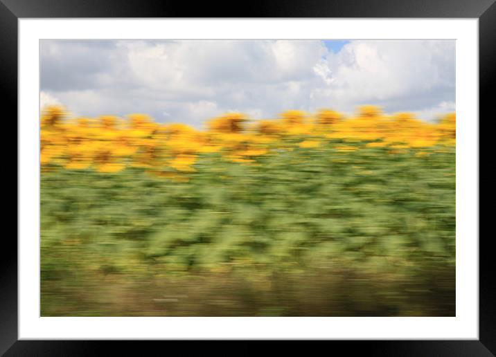 Abstract Sunflowers Framed Mounted Print by Simon H