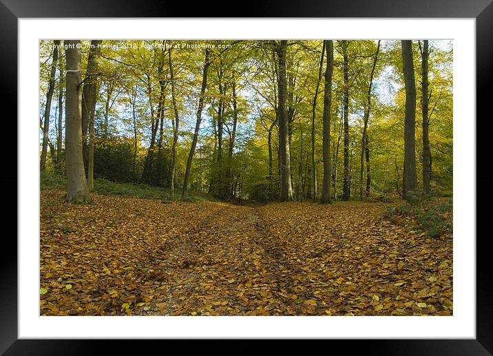 Chiltern Hills Bottom wood Framed Mounted Print by Jim Hellier