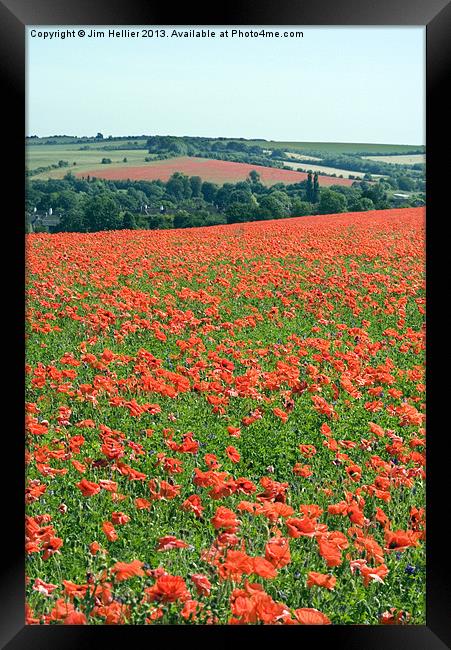 Poppies In West Berkshire Framed Print by Jim Hellier