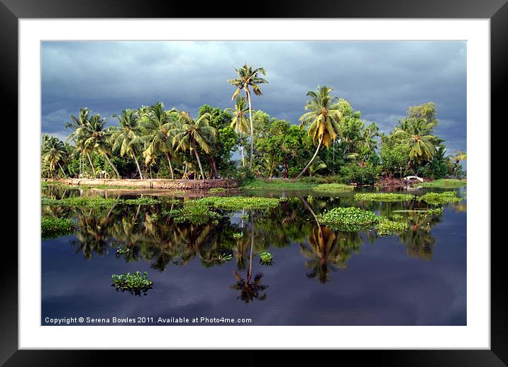 Palm Trees in a Storm Kerala Framed Mounted Print by Serena Bowles