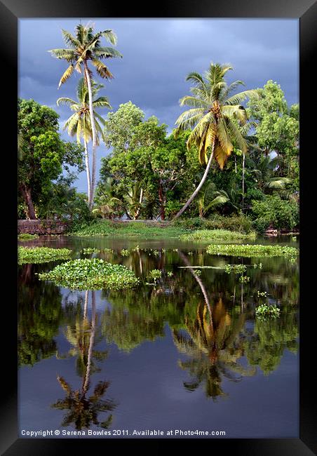 Palm Trees in a Storm Kerala Framed Print by Serena Bowles
